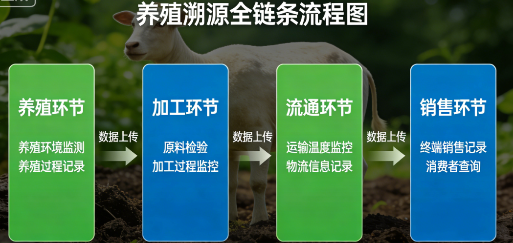猪牛羊家禽养殖溯源系统_养殖场追溯体系建设