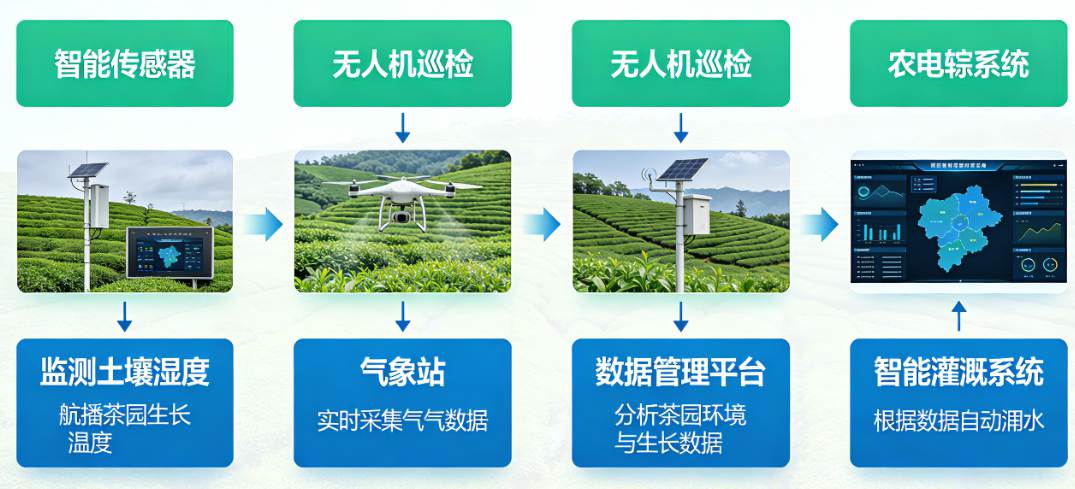 智慧茶园是什么_数字化茶园建设方案