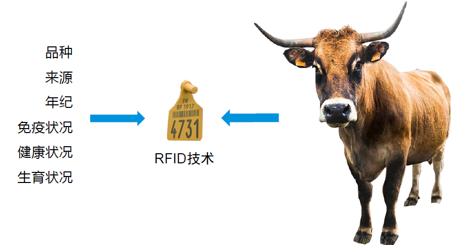 1560480027az440entx7.png